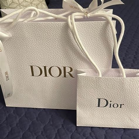 christian Dior paper bag